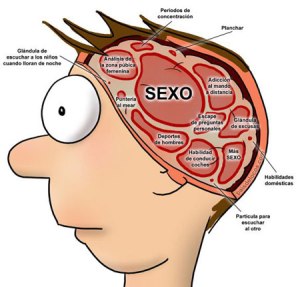 cerebro de los hombres